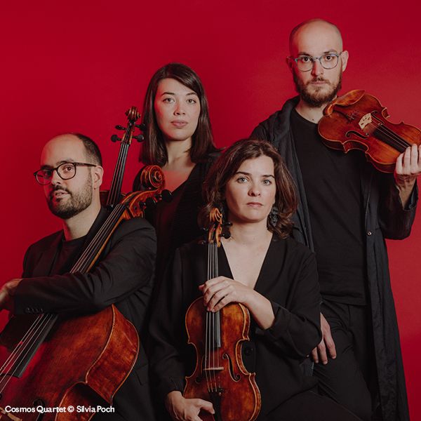 Cosmos Quartet, hari laukotea