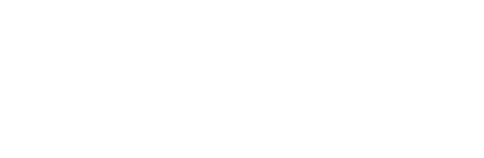 Lied The Future