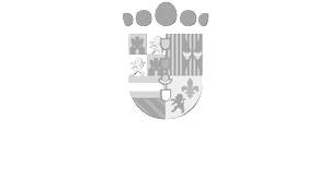 EscudoNuevoAyuntamientoValdegovia 250x100