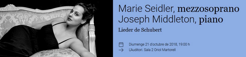 EjemploBanner